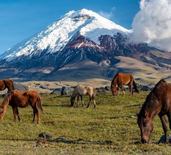 ecuador tours from quito